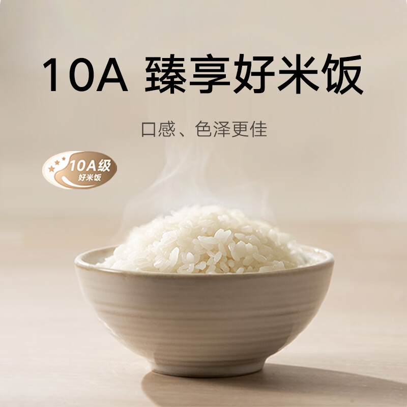 小米推出米家智能 IH 电饭煲 P1 4L 款：1.2 倍压力精煮米饭，1099 元