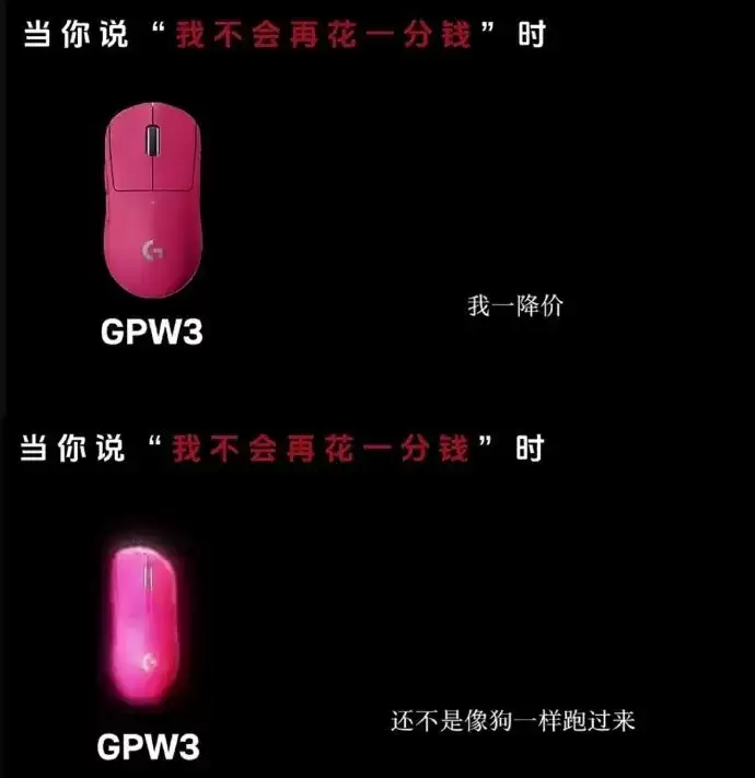 全网怒喷！骂用户是“狗”的罗技悄悄复活，网友：脸呢？