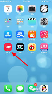 小红书ipad如何设置内容偏好-小红书iPad内容偏好设置方法