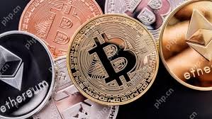 币圈推荐哪种币