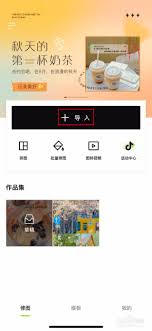 醒图如何添加个性字体-醒图添加个性字体的具体方法