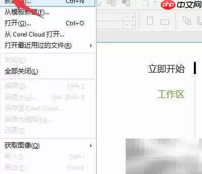 CorelDraw导出矢量图方法