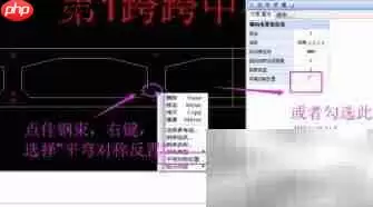 钢束编辑器使用指南