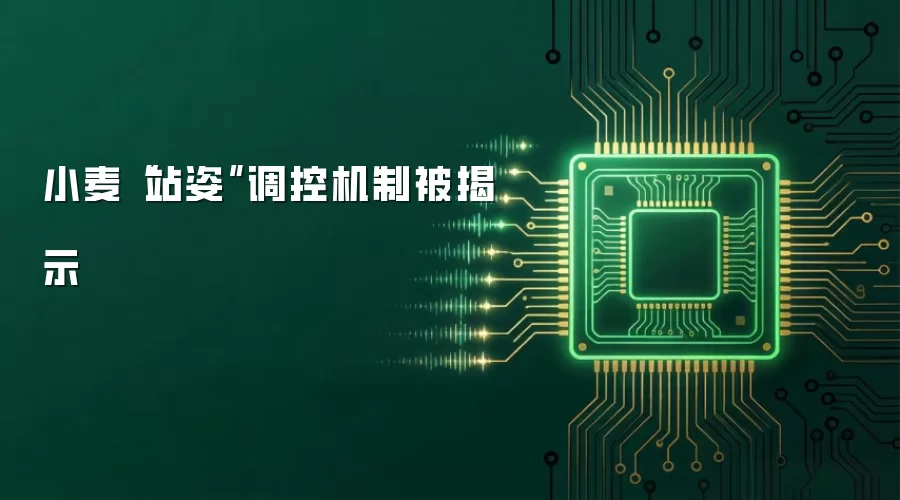 小麦“站姿”调控机制被揭示