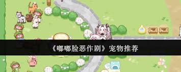 嘟嘟脸恶作剧有哪些宠物推荐-嘟嘟脸恶作剧宠物推荐有哪些