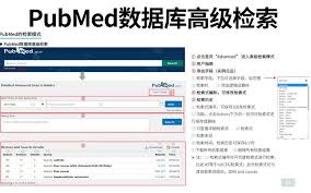 Pubmed官网怎么设置文献提醒