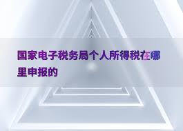个人所得税登录入口在哪-个人所得税官方登录入口是啥