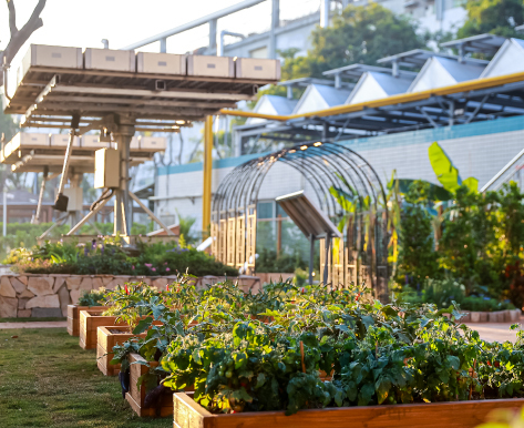 苹果年省550亿升淡水 新款设备更加注重环保