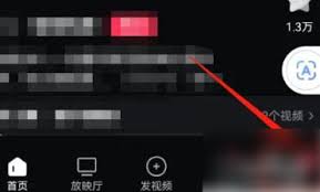 西瓜视频如何开启视频自动播放