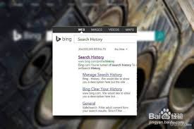 如何清除Bing浏览器浏览数据-Bing浏览器清除浏览数据的方法
