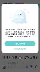 空浪旅行如何进行实名认证