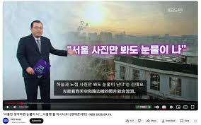 首尔病是什么梗