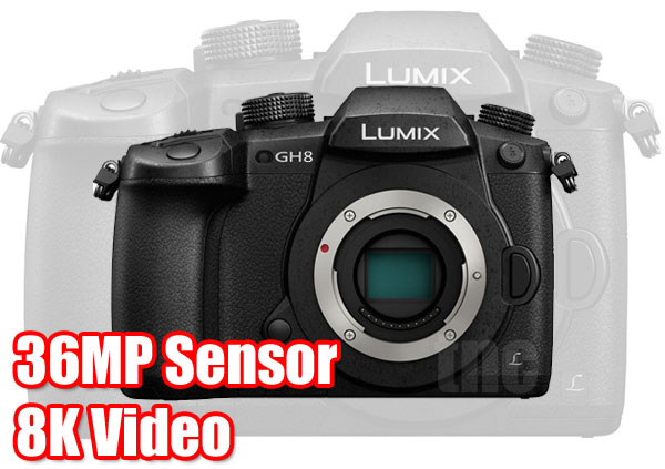 LUMIX 品牌 25 周年：2026 年松下相机新品前瞻