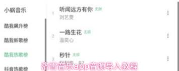 洛雪音乐app如何导入音源