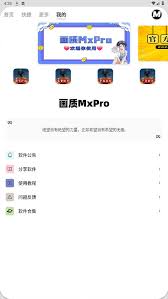 mxpro画质怎么使用