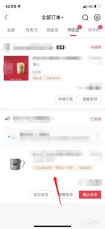 抖音订单如何退款查询