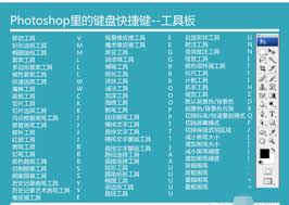 ps重复复制快捷键是什么