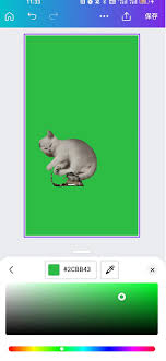 Canva可画如何更换背景颜色