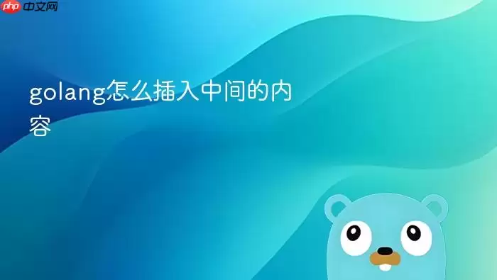 golang怎么插入中间的内容