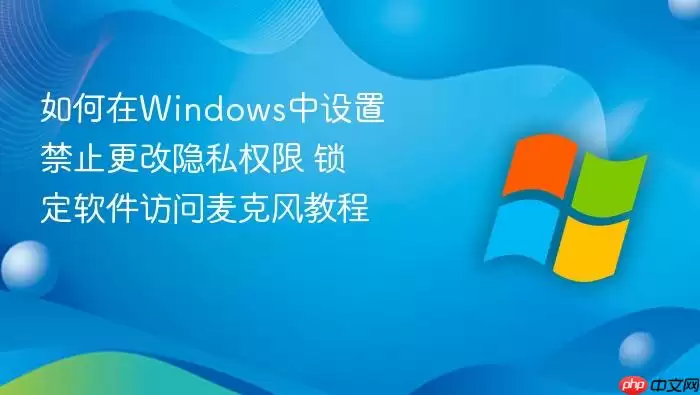 如何在Windows中设置禁止更改隐私权限 锁定软件访问麦克风教程
