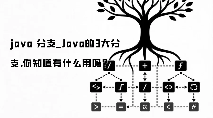 java 分支_Java的3大分支，你知道有什么用吗？