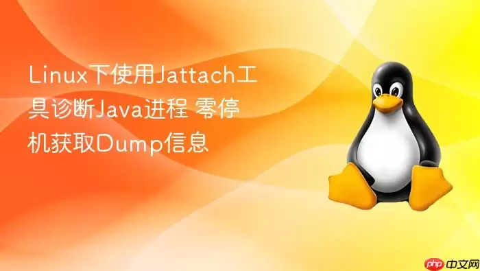 Linux下使用Jattach工具诊断Java进程 零停机获取Dump信息