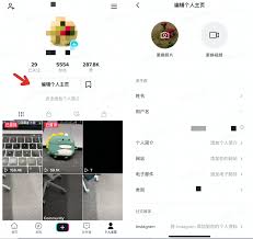 TikTok官方账号入口在哪