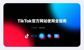 TikTok官方账号入口在哪