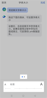 LarkAPP字体大小异常如何调整显示