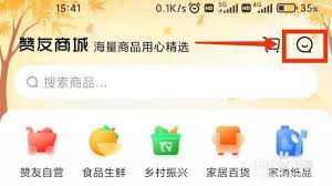 赞友商城怎样查看激活记录