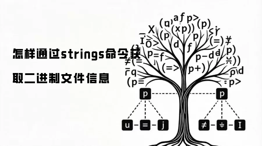 怎样通过strings命令获取二进制文件信息