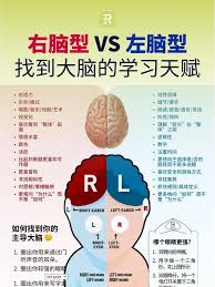 左右脑倾向测验网址入口在哪