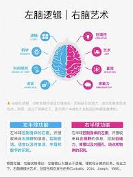 左右脑倾向测验网址入口在哪