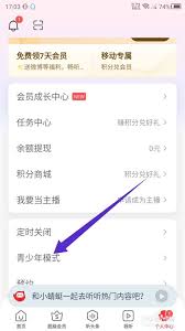 蜻蜓fm怎么设置青少年模式