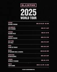 blackpink2025世巡怎么买票
