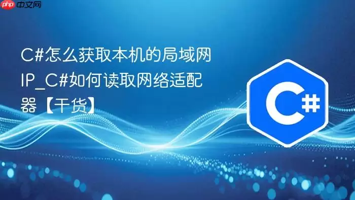 C#怎么获取本机的局域网IP_C#如何读取网络适配器【干货】