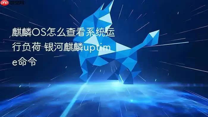 麒麟OS怎么查看系统运行负荷 银河麒麟uptime命令