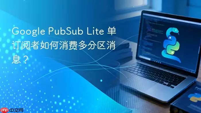 Google PubSub Lite 单订阅者如何消费多分区消息？