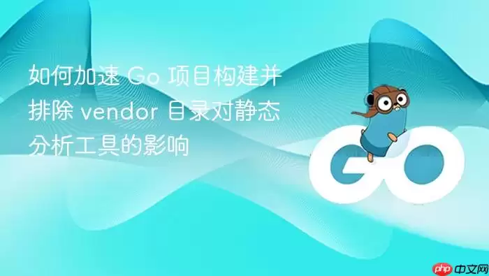 如何加速 Go 项目构建并排除 vendor 目录对静态分析工具的影响