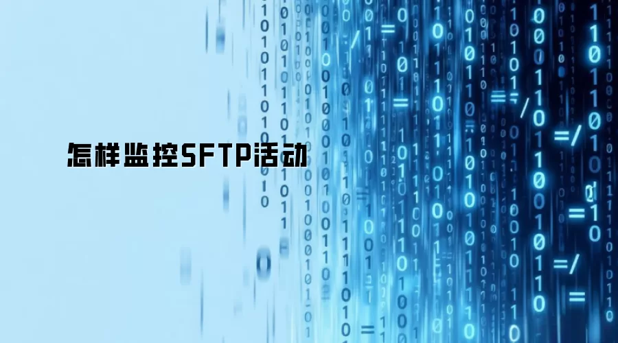 怎样监控SFTP活动