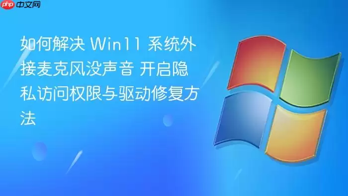 如何解决 Win11 系统外接麦克风没声音 开启隐私访问权限与驱动修复方法