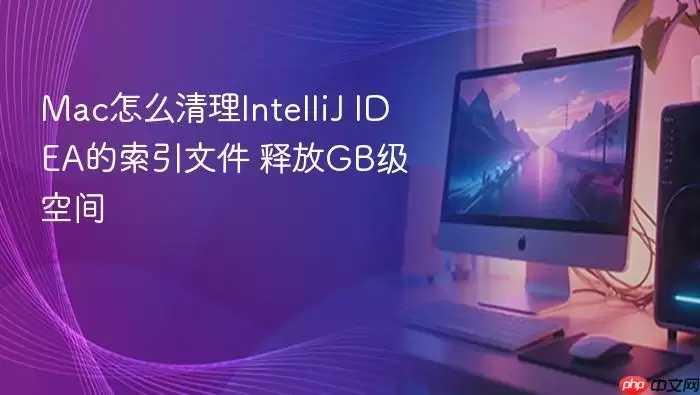 Mac怎么清理IntelliJ IDEA的索引文件 释放GB级空间