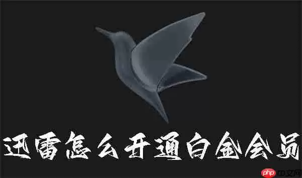 迅雷怎么开通白金会员