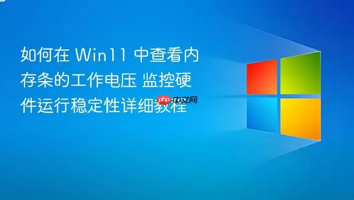 如何在 Win11 中查看内存条的工作电压 监控硬件运行稳定性详细教程