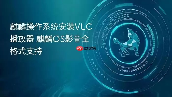 麒麟操作系统安装VLC播放器 麒麟OS影音全格式支持