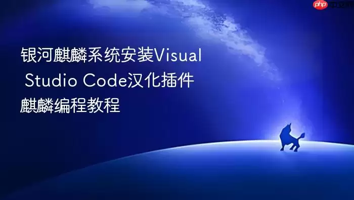 银河麒麟系统安装Visual Studio Code汉化插件 麒麟编程教程