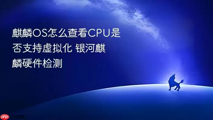 麒麟OS怎么查看CPU是否支持虚拟化 银河麒麟硬件检测
