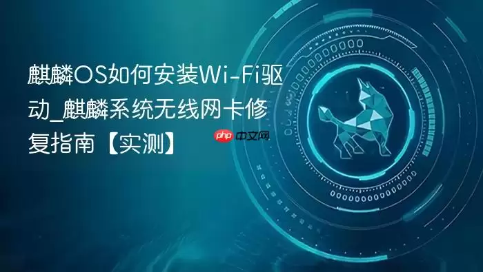 麒麟OS如何安装Wi-Fi驱动_麒麟系统无线网卡修复指南【实测】