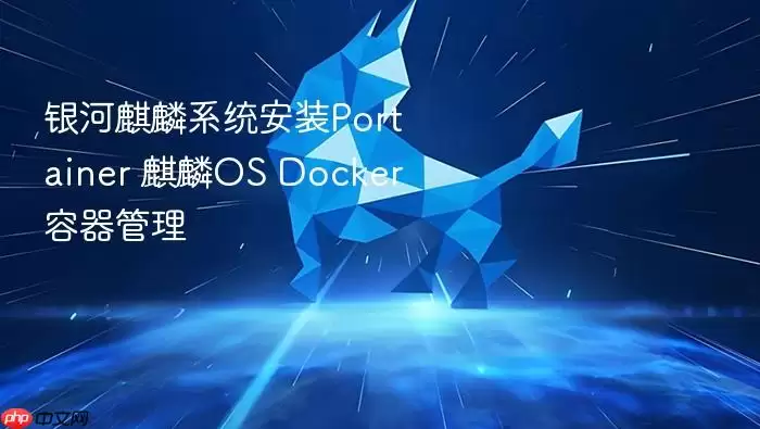 银河麒麟系统安装Portainer 麒麟OS Docker容器管理