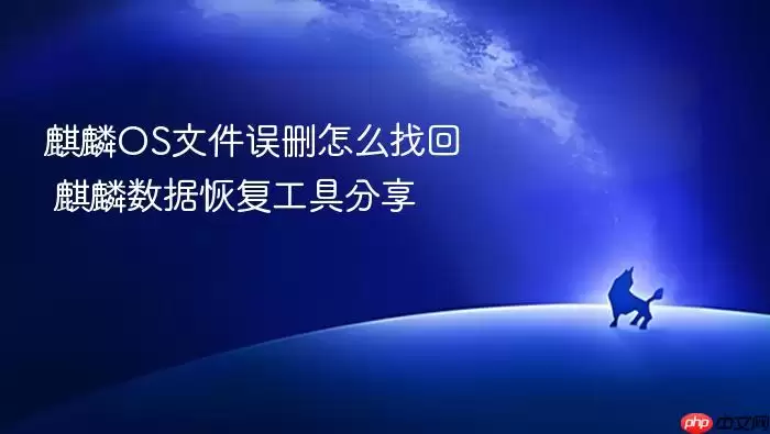 麒麟OS文件误删怎么找回 麒麟数据恢复工具分享